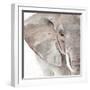 Elephant Grooves II-Annie Warren-Framed Art Print