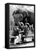 Elephant Having a Bite-Associated Newspapers-Framed Stretched Canvas