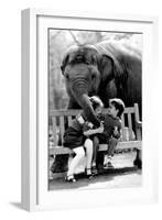 Elephant Having a Bite-Associated Newspapers-Framed Photo