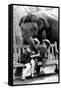 Elephant Having a Bite-Associated Newspapers-Framed Stretched Canvas