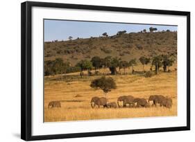 Elephant Herd (Loxodonta Africana), Masai Mara National Reserve, Kenya, East Africa, Africa-Ann and Steve Toon-Framed Photographic Print