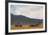 Elephant Herd (Loxodonta Africana), Masai Mara National Reserve, Kenya, East Africa, Africa-Ann and Steve Toon-Framed Photographic Print