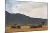 Elephant Herd (Loxodonta Africana), Masai Mara National Reserve, Kenya, East Africa, Africa-Ann and Steve Toon-Mounted Photographic Print