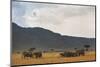 Elephant Herd (Loxodonta Africana), Masai Mara National Reserve, Kenya, East Africa, Africa-Ann and Steve Toon-Mounted Photographic Print