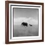 Elephant Herd, Masai Mara Game Reserve, Kenya-Paul Souders-Framed Photographic Print