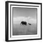 Elephant Herd, Masai Mara Game Reserve, Kenya-Paul Souders-Framed Photographic Print