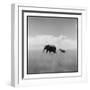 Elephant Herd, Masai Mara Game Reserve, Kenya-Paul Souders-Framed Photographic Print