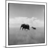 Elephant Herd, Masai Mara Game Reserve, Kenya-Paul Souders-Mounted Photographic Print