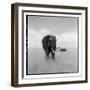 Elephant Herd, Masai Mara Game Reserve, Kenya-null-Framed Photographic Print