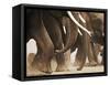 Elephant Herd on the Move-Martin Harvey-Framed Stretched Canvas