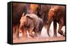 Elephant Herd on the Run in Etosha Desert-Johan Swanepoel-Framed Stretched Canvas