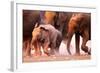 Elephant Herd on the Run in Etosha Desert-Johan Swanepoel-Framed Photographic Print