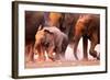 Elephant Herd on the Run in Etosha Desert-Johan Swanepoel-Framed Photographic Print