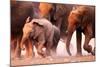 Elephant Herd on the Run in Etosha Desert-Johan Swanepoel-Mounted Photographic Print