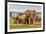 Elephant Herd-ZambeziShark-Framed Photographic Print