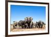 Elephant Herd-2630ben-Framed Photographic Print