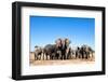 Elephant Herd-2630ben-Framed Photographic Print