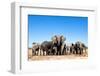 Elephant Herd-2630ben-Framed Photographic Print