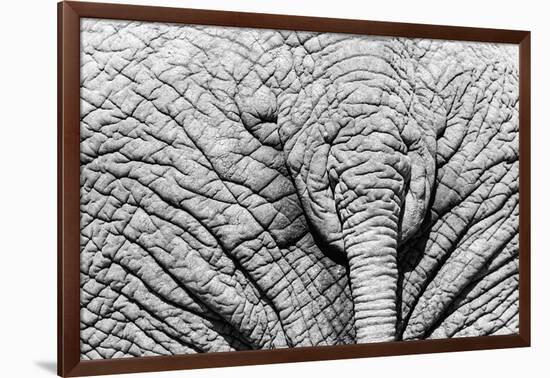 Elephant Hide-Catharina Lux-Framed Photographic Print