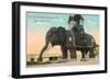 Elephant Hotel, Atlantic City-null-Framed Premium Giclee Print