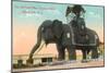 Elephant Hotel, Atlantic City-null-Mounted Premium Giclee Print