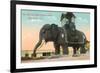 Elephant Hotel, Atlantic City-null-Framed Art Print