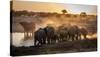 Elephant Huddle-Simon Van Ooijen-Stretched Canvas