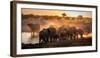 Elephant Huddle-Simon Van Ooijen-Framed Photographic Print