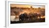 Elephant Huddle-Simon Van Ooijen-Framed Photographic Print