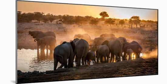 Elephant Huddle-Simon Van Ooijen-Mounted Photographic Print