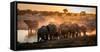Elephant Huddle-Simon Van Ooijen-Framed Stretched Canvas