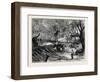 Elephant Hunting in Ceylon: Shooting Spare Elephants Through the Corral-null-Framed Giclee Print