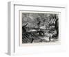 Elephant Hunting in Ceylon: Shooting Spare Elephants Through the Corral-null-Framed Giclee Print