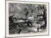 Elephant Hunting in Ceylon: Shooting Spare Elephants Through the Corral-null-Mounted Giclee Print