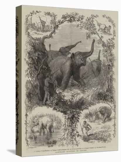 Elephant Hunting in Ceylon-null-Stretched Canvas