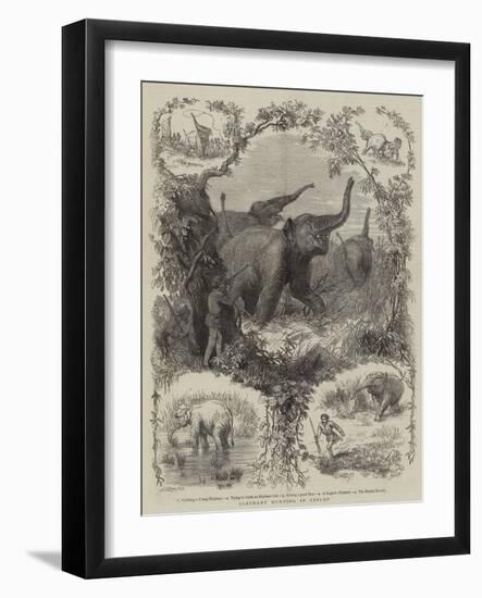 Elephant Hunting in Ceylon-null-Framed Giclee Print