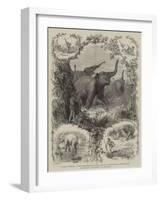 Elephant Hunting in Ceylon-null-Framed Giclee Print