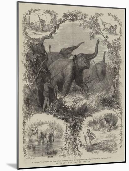 Elephant Hunting in Ceylon-null-Mounted Giclee Print