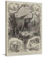 Elephant Hunting in Ceylon-null-Stretched Canvas