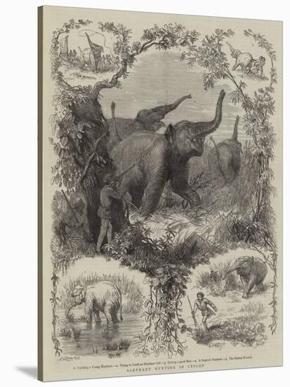 Elephant Hunting in Ceylon-null-Stretched Canvas