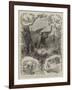 Elephant Hunting in Ceylon-null-Framed Giclee Print