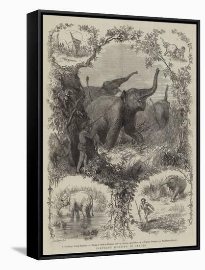 Elephant Hunting in Ceylon-null-Framed Stretched Canvas
