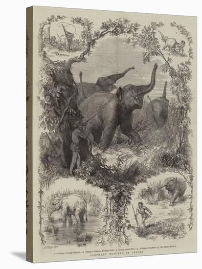 Elephant Hunting in Ceylon-null-Stretched Canvas