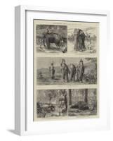 Elephant Hunting in Ceylon-null-Framed Giclee Print