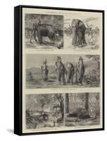 Elephant Hunting in Ceylon-null-Framed Stretched Canvas