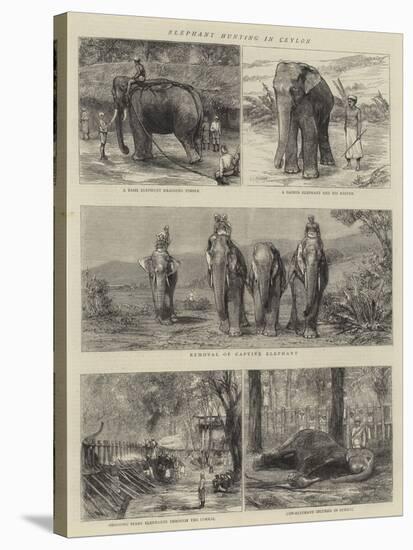 Elephant Hunting in Ceylon-null-Stretched Canvas