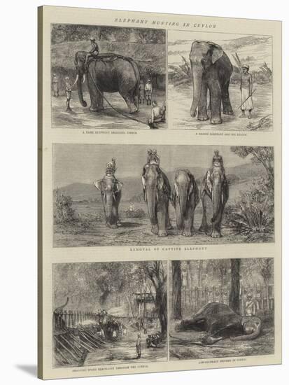 Elephant Hunting in Ceylon-null-Stretched Canvas