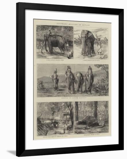 Elephant Hunting in Ceylon-null-Framed Giclee Print