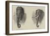 Elephant Hunting-null-Framed Giclee Print