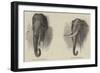 Elephant Hunting-null-Framed Giclee Print